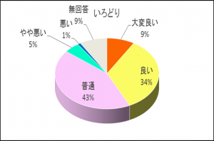 グラフ7